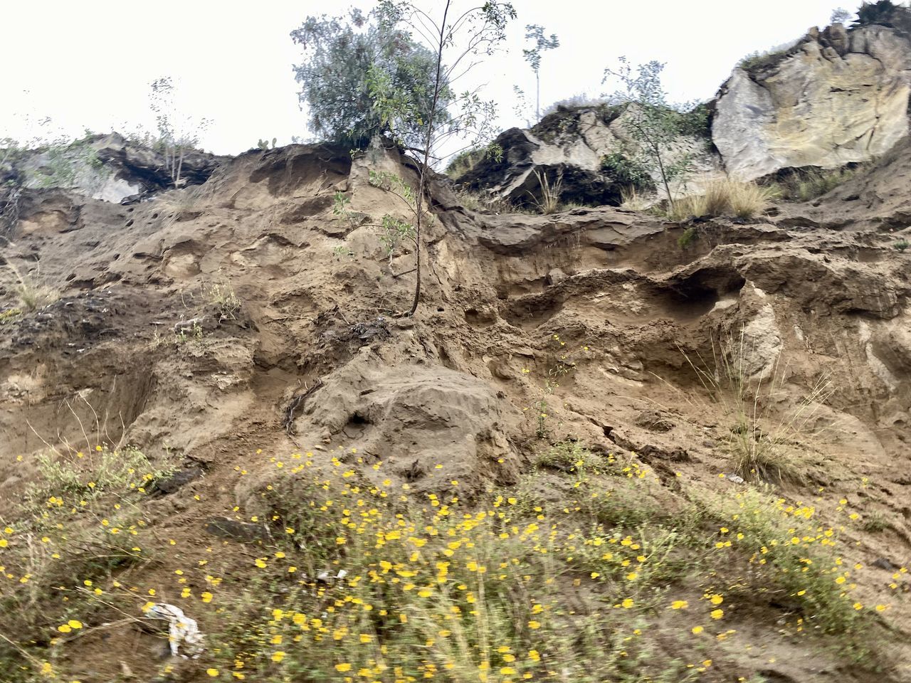 VIEW OF ROCK FORMATIONS