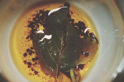 High angle view of meal served in bowl