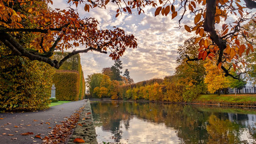 Scenic view of lake by trees during autumn