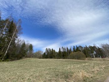 Trees on field against sky