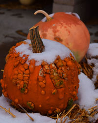 Close-up of pumpkin on frozen during winter