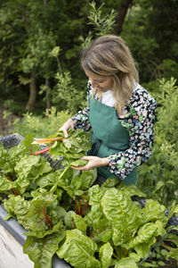 Rear view of young woman standing amidst plants