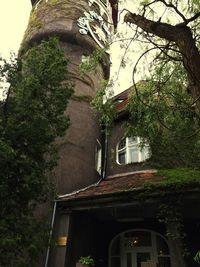 Low angle view of built structure against trees