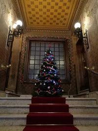 Low angle view of illuminated christmas tree