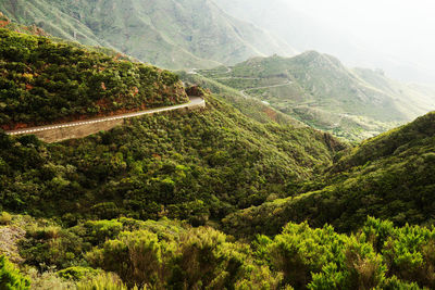 Scenic view of green landscape