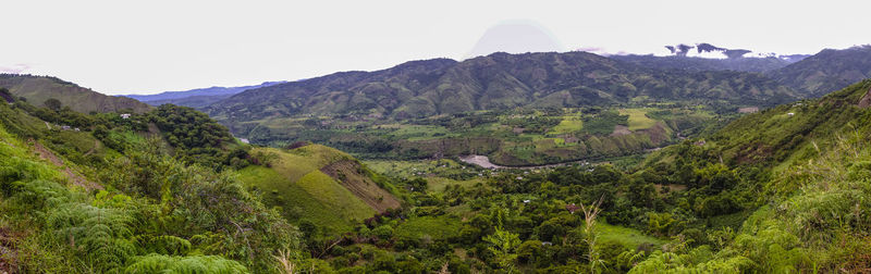 environment