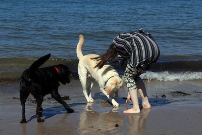 Woman with dogs at beach