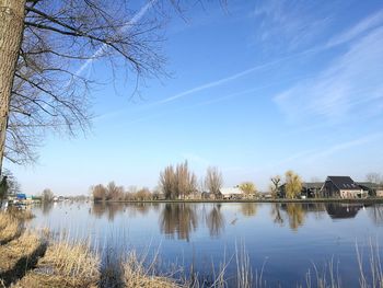 Reflection of trees in lake against sky