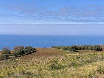 Scenic view of landscape against sky