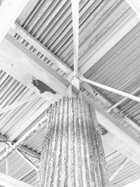 Close-up of tree stump