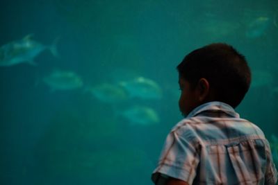 Rear view of boy looking at fish in aquarium