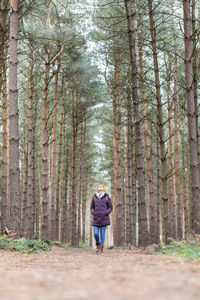 Rear view of man standing amidst trees in forest