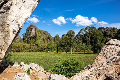 Scenic view of landscape against sky