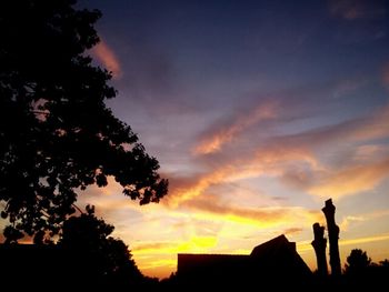 Silhouette of trees at sunset