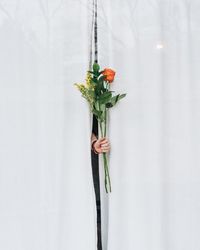 Cropped hand of woman holding flower amidst curtain at home