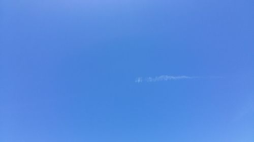 Low angle view of trees against clear blue sky