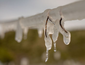 Close-up of frozen water