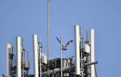 Low angle view of osprey nest in communication tower against clear blue sky