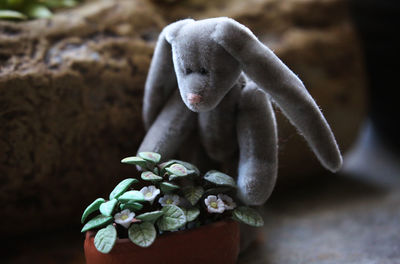 Close-up of stuffed toy