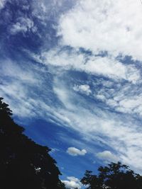Low angle view of trees against sky