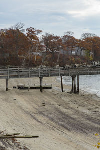 Scenic view of trees against sky