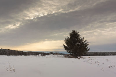 Scenic view of field against cloudy sky