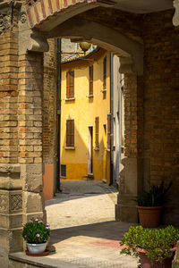 Street and potted plants on wall of building