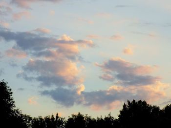 Low angle view of silhouette trees against sky