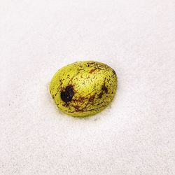 High angle view of lemon on white background
