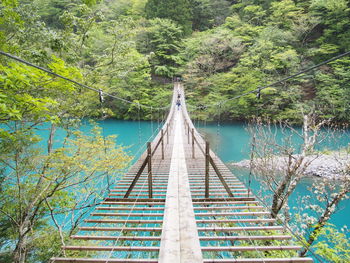 Footbridge over lake amidst trees in forest