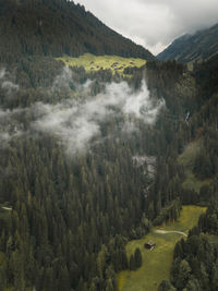 Scenic view of pine trees and mountains against sky