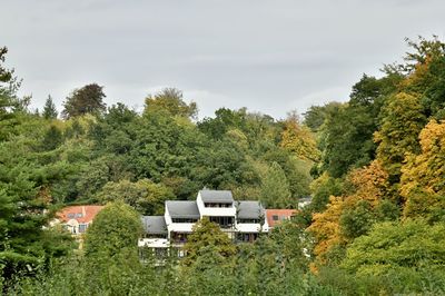 Houses and trees in forest against sky