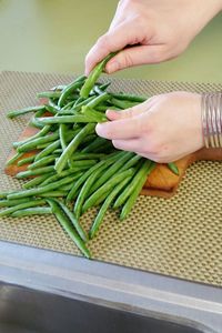 Close-up of cropped hand holding plant