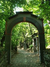 Footpath amidst trees in park