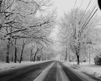 Road amidst trees during winter