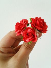 Close-up of hand holding rose over white background