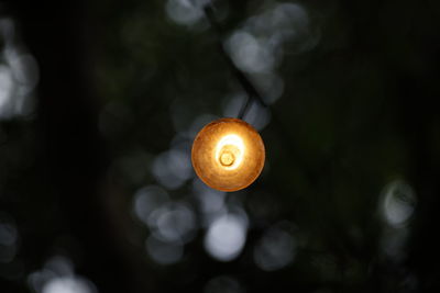 Close-up of illuminated light bulb