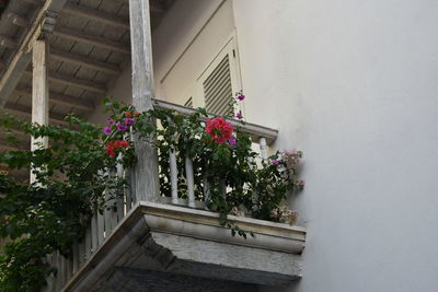 Flowers in balcony