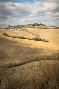 Scenic view of agricultural field against sky