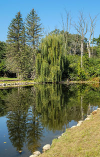 Scenic view of lake against clear sky