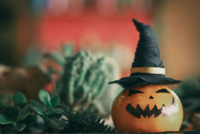 Close-up of pumpkin on leaf