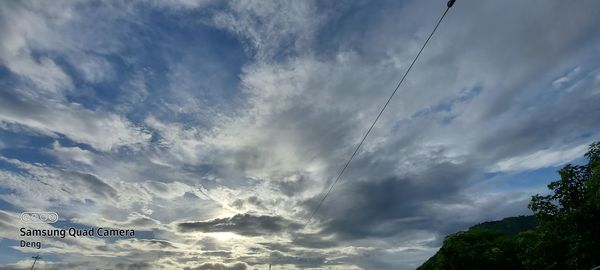 Low angle view of trees against sky