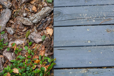 Close-up of old wooden door