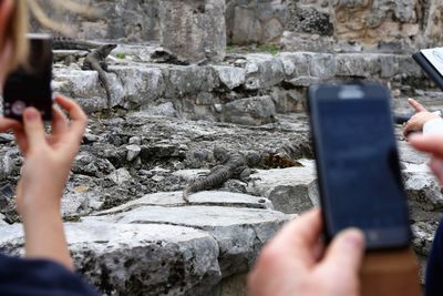 Close-up of woman photographing with mobile phone