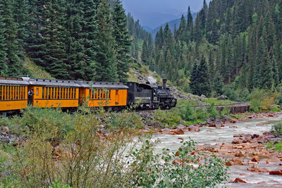 Train moving on railroad track