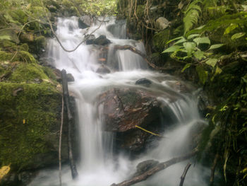 Scenic view of waterfall in forest