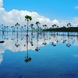 Scenic view of lake against sky