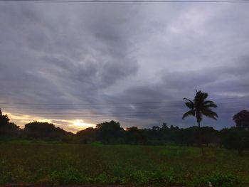 Scenic view of field against sky during sunset