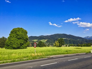 Road by trees against blue sky