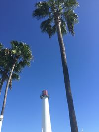 Low angle view of palm trees against clear blue sky